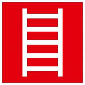 F03 Пожарная лестница (200х200мм) Знаки пожарной безопасности фото, изображение